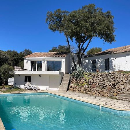 Bed and Breakfast Les Terrasses Des Gardies Pignan Екстер'єр фото
